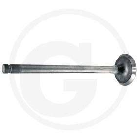 Auslassventil Granit 38004476