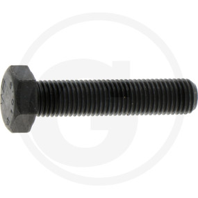 Pleuelschraube Granit 38004601