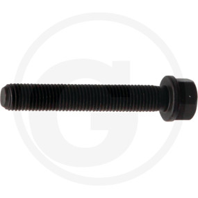 Pleuelschraube Granit 38004610