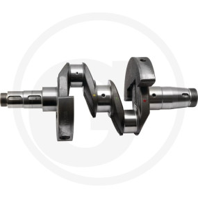 Kurbelwelle Granit 38004612