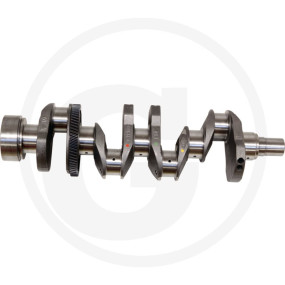 Kurbelwelle Granit 38004958