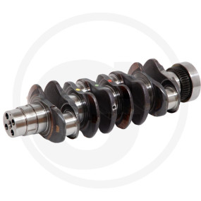 Kurbelwelle Granit 38004960