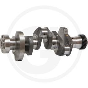 Kurbelwelle Granit 3800600012