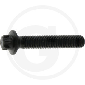 Pleuelschraube, P.f. Man D0834/D0836 Granit 380060031