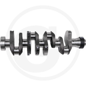 Kurbelwelle Granit 38006493