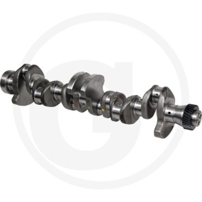 Kurbelwelle Granit 38006494