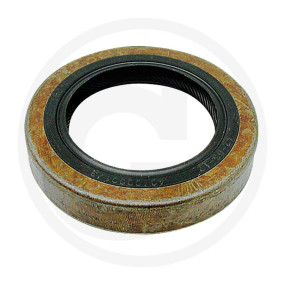 Dichtung Granit 38007072