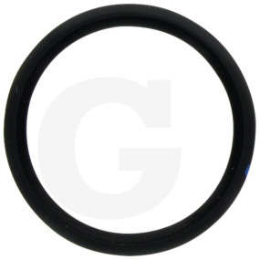 O-Ring ?19,3X2,2Mm Granit