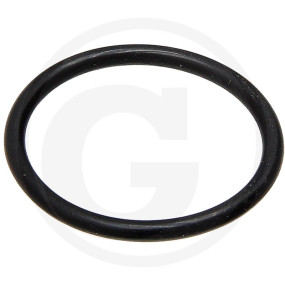 O-Ring ?22X2Mm Granit