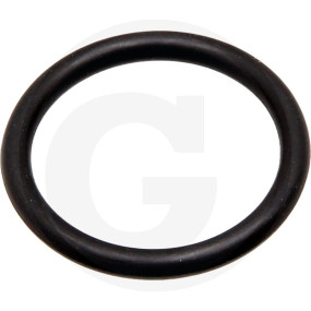O-Ring ?23,47X2,94Mm Granit