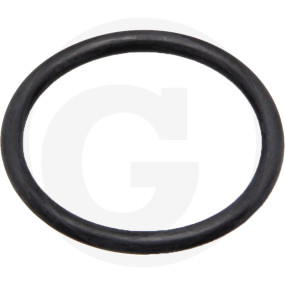 O-Ring ?29,74X2,95Mm Granit