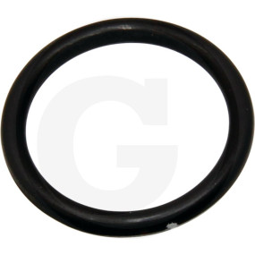 O-Ring ?19,18X2,46Mm Granit