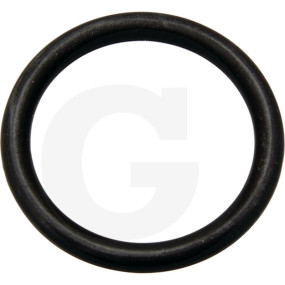 O-Ring ?24,99X3,53Mm Granit