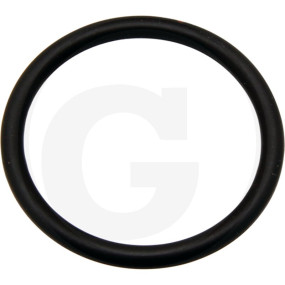 O-Ring ?25,07X2,61Mm Granit