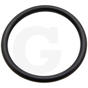 O-Ring ?37,69X3,53Mm Granit