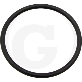 O-Ring ?50,39X3,53Mm Granit