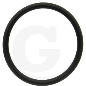 O-Ring ?29,82X2,62Mm Granit