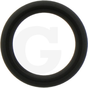 O-Ring Granit 38012538