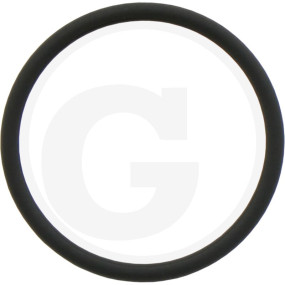 O-Ring Granit 38012540