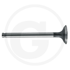 Vpe2 Auslassventil Granit 38015402