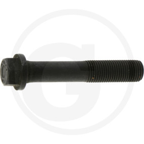 Pleuelschraube Granit 38015680