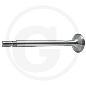 Auslassventil Granit 38016686