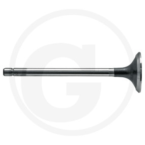 Auslassventil Granit 38017757