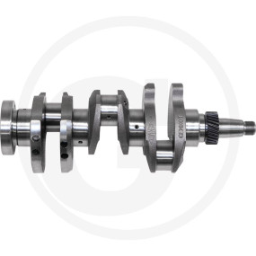 Kurbelwelle Granit 38017772