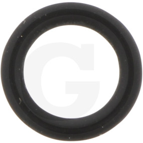 O-Ring Granit 38017899