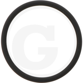O-Ring Granit 38017900