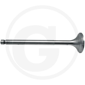 Auslassventil Granit 38021086