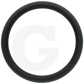 O-Ring Granit 38022154