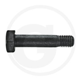 Schraube 5Ls31Xb11-8 Granit 4003013240
