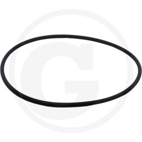O-Ring 170X5 Fkm Granit