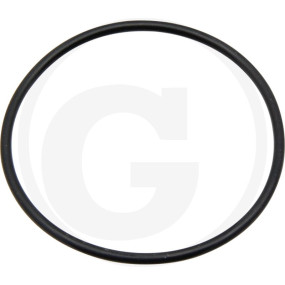 O-Ring 55X2,5 Granit