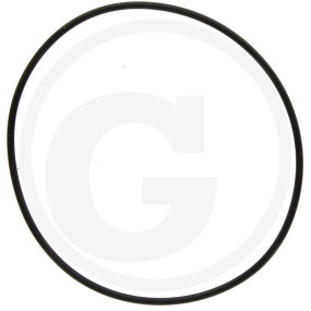 O-Ring 79X2 Granit