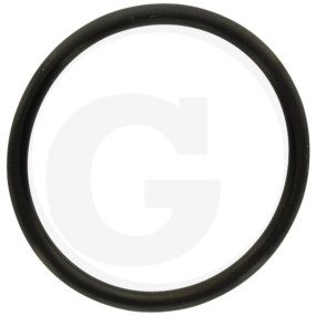 O-Ring Granit