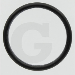O-Ring Granit