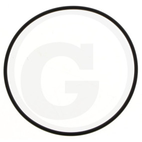 O-Ring 99X3 R 70 Fwn564 Granit