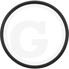 O-Ring Granit 1802200025