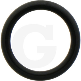 O-Ring Granit 1802200079