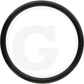 O-Ring Granit