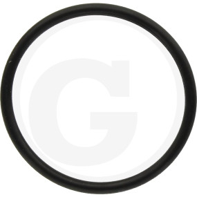 O-Ring Granit