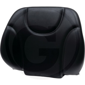 Rueckenlehne Granit 240FLA101