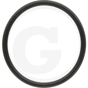 O-Ring 34X2,5 ,4 80Fkm Granit