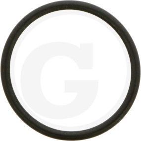 O-Ring 31,42X2,62 Granit