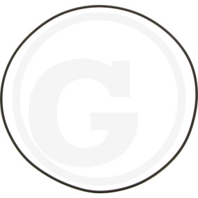 O-Ring 165,00X2,50 Granit