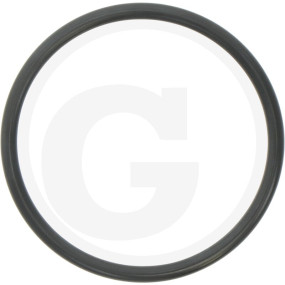O-Ring 74,63X5,33 Granit