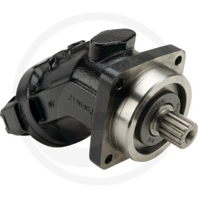 Axialkolben-Konstantmotor Granit 256R992001012