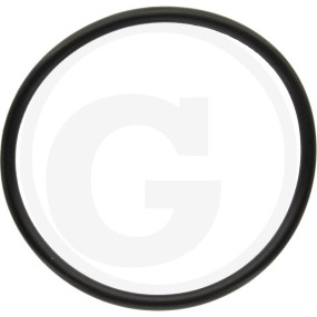 O-Ring Granit